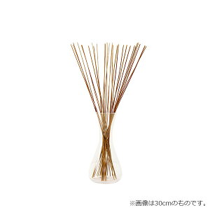 ő1000~ItN[|y撅pztOX a_ CeA   XeBbN fBt[U[ IuWF L  gC rO ֏ 70cm u CPqR ikehiko 