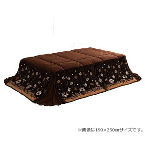 150~OFFN[|y撅pzzc  ȃXy[X ` mfBbN dCߖ ӂӂ Ȃ߂炩 AC{[  180×220cm zc ȃXy[X T CPqR 117028014