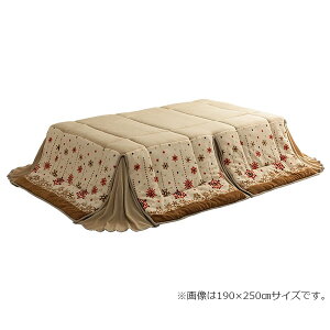 150~OFFN[|y撅pzzc  ȃXy[X ` mfBbN dCߖ ӂӂ Ȃ߂炩 AC{[  180×220cm zc ȃXy[X T CPqR 117028014