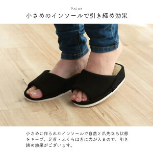 ő100%|CgobN&450~OFFN[| Xbp [V[Y Vv  L RtH[g O ʔN AC{[ LTCY   ItBX q ݑΖ  G [ CPqR