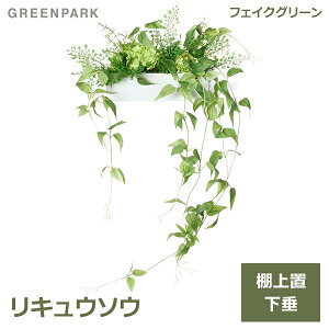 ő1000~OFFN[|&100%|CgobN tFCNO[ ϗtA lHϗtA   LE\E O[  O[p[N PRGR-1181 lC AW e[uO[ GREENPAR