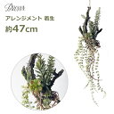 フェイクグリーン 造花 大型 47cm ロング アレンジメント 枝 着生 多肉 植物 人工 インテリア 壁掛け ハンギング 吊るす おしゃれ シンプル 垂らす ギフト 送料無料 プレゼント 枯れない 花 流木 かっこいい 新築 本物そっくり 人