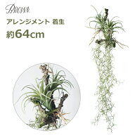 フェイクグリーン 造花 大型 64cm ロング アレンジメント 枝 着生 多肉 植物 人工 インテリア 壁掛け ハ…