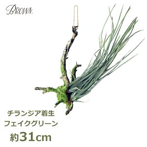 150~ItN[|y撅pztFCNO[ ϗtA lHϗtA  Ǌ|  A GAvc `WA }  Vo[ nMO O[ CeA ݂艺