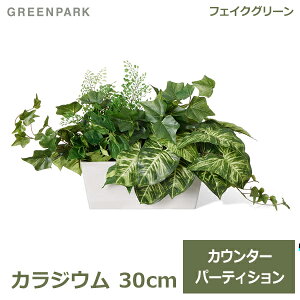 150~OFFN[|y撅pztFCNO[ ϗtA lHϗtA   JWE JE^[p[e[V H30cm  CeA   } j GREENPARK PRGR-1411LO 