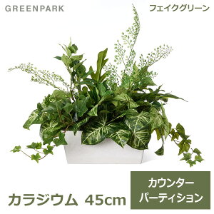 150~ItN[|y撅pztFCNO[ ϗtA lHϗtA   JWE JE^[p[e[V H45cm  CeA } v[g GREENPARK PRGR-1411HI 