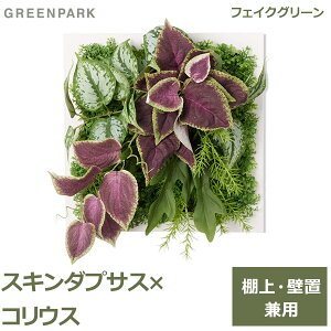 ő1000~OFFN[|&100%|CgobN tFCNO[ ϗtA lHϗtA   Ǌ| XL_vTX REX t[t X^h  CeA lHA GREENPARK PRGR