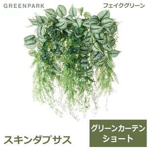 150~ItN[|y撅pztFCNO[ ϗtA lHϗtA  Ǌ| O[J[e V[g |gX XL_vTX U[t@  eco PRGR-1512S GREENPARK 