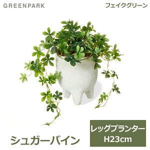 150~ItN[|y撅pztFCNO[ ϗtA lHϗtA   O[ VK[oC bOv^[ 鐫A e[uO[ A lC PRGR-1586 GREENPARK 