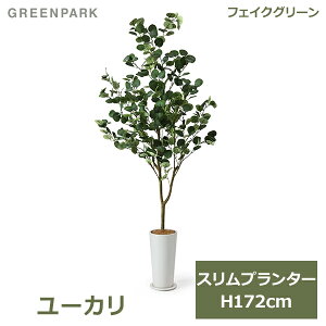 150~ItN[|y撅pztFCNO[ ϗtA lHϗtA  ^ O[ [J Xv^[ H172cm CeA t  JtF A PRGR-1256 GREENPARK 