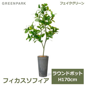 150~ItN[|y撅pztFCNO[ ϗtA lHϗtA  ^ tBJX\tBA Eh|bg H170cm CeA  lC i Vv PRGR-1537 GREENPARK 