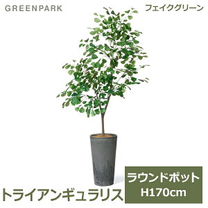 ő700~OFFN[|y撅pztFCNO[ ϗtA lHϗtA  ^ O[ gCAMX Eh|bg H170cm CeA  Vv PRGR-1538 GREENPARK 