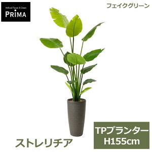 �t�F�C�N�O���[�� �ϗt�A�� �l�H�ϗt�A�� ���� ��^ �O���[�� �X�g�����`�A TP�v�����^�[ H155cm �C���e���A ������� �V���v�� ���r���O PRGR-1045 GREENPARK �l�C ���t�� �z�e�� �G�X�e �X�� �G���g