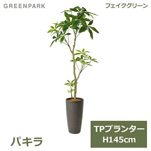 ő1000~ItN[|y撅pztFCNO[ ϗtA lHϗtA  ^ O[ pL TPv^[ H145cm CeA  Vv JX JƏj PRGR-1360 GREENPARK 