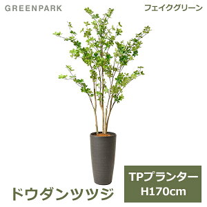 ő1000~ItN[|y撅pztFCNO[ ϗtA lHϗtA  ^ O[ hE_ccW TPv^[ H170cm CeA  Vv lC PRGR-1373 GREENPARK 