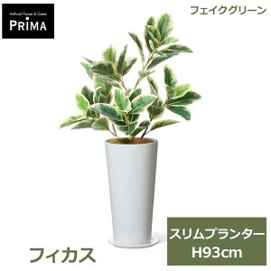 �G���g���[�Ń|�C���g5�{&2%OFF�N�[�|�� �t�F�C�N�O���[�� �ϗt�A�� �l�H�ϗt�A�� ���� �t�B�J�X �X�����v�����^�[ H93cm �A�� �O���[�� ������� �C���e���A PRGR-1749 �k�� �O���[���p�[�N GREENPA