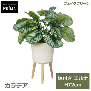 �G���g���[�Ń|�C���g5�{&2%OFF�N�[�|�� �t�F�C�N�O���[�� �ϗt�A�� �l�H�ϗt�A�� ���� �J���e�A �G���i H72cm �A�� �O���[�� ������� �C���e���A �l�C �l�H�A�� PRGR-1635 �O���[���p�[�N GREENPARK