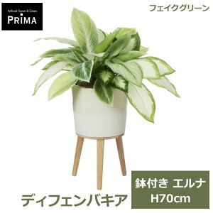 �G���g���[�Ń|�C���g5�{&2%OFF�N�[�|�� �t�F�C�N�O���[�� �ϗt�A�� �l�H�ϗt�A�� ���� �f�B�t�F���o�L�A �G���i H70cm �A�� �O���[�� ������� �C���e���A �l�C PRGR-1639 �O���[���p�[�N GREENPARK 