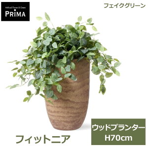 �G���g���[�Ń|�C���g5�{&2%OFF�N�[�|�� �t�F�C�N�O���[�� �ϗt�A�� �l�H�ϗt�A�� ���� �t�B�b�g�j�A �E�b�h�v�����^�[ H70cm �A�� �O���[�� �t�F�C�N ������� PRGR-1693 �O���[���p�[�N GREENPARK 