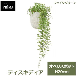�G���g���[�Ń|�C���g5�{&2%OFF�N�[�|�� �t�F�C�N�O���[�� �ϗt�A�� �l�H�ϗt�A�� ���� ��� �O���[�� �t�F�C�N �f�B�X�L�f�B�A �I�x���X�|�b�g S H20cm �e�[�u���O���[�� �A�� PRGR-1652 GREENPARK 