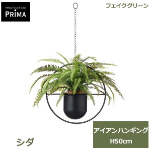 �G���g���[�Ń|�C���g5�{&2%OFF�N�[�|�� �t�F�C�N�O���[�� �ϗt�A�� �l�H�ϗt�A�� ���� �V�_ �A�C�A�� �n���M���O 68cm �A�� �A�����W�����g �n���M���O�O���[�� �t�F�C�N �O���[�� PRGR-1763 GREEN