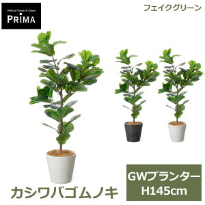 �G���g���[�Ń|�C���g5�{&2%OFF�N�[�|�� �t�F�C�N�O���[�� �ϗt�A�� �l�H�ϗt�A�� ���� �J�V���o�S���m�L �J�V���̗t GW �v�����^�[ H145cm �A�� ��^ ���t�� �O���[�� �t�F�C�N PRGR-1711 GREENPARK 