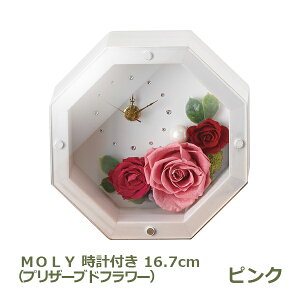 150~OFFN[|y撅pzMOLY zCgivU[uht[j sN Mtg  v[g  킢 j j Ԃ o  Ε p 蕨 