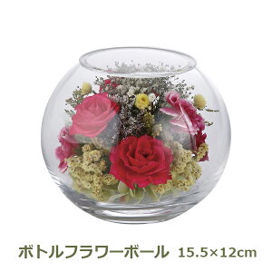 150~OFFN[|y撅pz{gt[{[ Mtg {Y  1000124718 v[g  킢 j j Ԃ o  Ε p  b