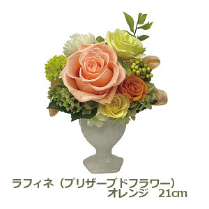 ő1000~OFFN[|&100%|CgobN tBlivU[uht[j IW Mtg  bc|13101|OR v[g  킢 j j Ԃ o  