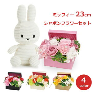 150~OFFN[|y撅pz~btB[ ʂ \[v t[ Zbg ObY l Mtg v[g a ̓ ͂Ȃ V{ vU[uh AWg WG