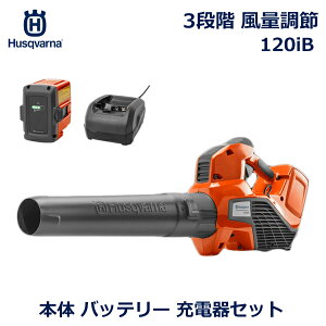 ő1000~ItN[|y撅pznXNo[i Husqvarna nfB u[ Ki 3iK [d obe[ Zbg y É    ȒP pi  ƒp 120iB Bli20  1