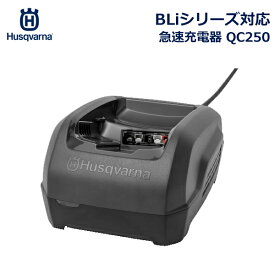 【6/4～6/10 最大100％ポイントバック！※条件あり】ハスクバーナ バッテリー 急速充電器 QC250 Li-ion 初回 セット Husqvarna BLi20 10 200 300 100 ホームシリーズ 対応 967970104 屋外 チェーンソー 芝刈り ブロワー 刈払機 高枝はさみ ハサミ ポールソー ヘッジトリマ 送