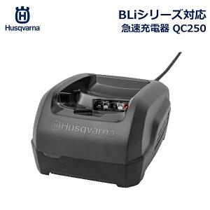 ő100%|CgobNI nXNo[i obe[ }[d QC250 Li-ion  Zbg Husqvarna BLi20 10 200 300 100 z[V[Y Ή 967970104 O `F[\[  Ŋ u