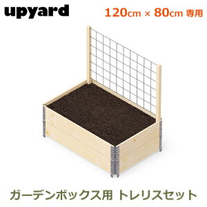 ő100%|CgobNI K[f{bNX W1200p 120×80cm gX Zbg x nC^Cv K[fjO ƒ؉ v^[ ^ v  UPYARD Abv[h K[f 