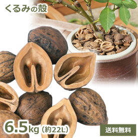 最大100%ポイントバック&最大3000円OFFクーポン クルミ の殻 6.5kg 約22リットル 送料無料 日本国産 くるみ から マルチング材 バークチップ ガーデニング ナチュラル 業務用 園芸 コガネムシ防止 復興支援 送料無料 雑草防止 植物 かわいい 天然素材 グランドカバー 庭 装飾