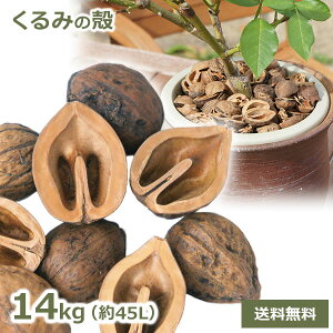 150~OFFN[|y撅pzN~ ̊k 14kg 45bg  Ɩp {Y   K[fjO o[N`bv Ebh`bv |  Ԓd Gh~ ~ OhJo[ 