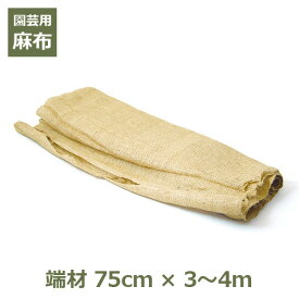 【100円クーポン対象】麻布 端材 75cm×3〜4m アウトレット 訳あり ガーデニング 資材 園芸 DIY クラフト ナチュラル 根巻き 養生 シート 雪囲い あさ ぬの 切れ端 キャッシュレス還元