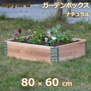 ő100%|CgobNI CYhxbh K[f {bNX 800 i`  ƒ؉ g Ԓd |  ͂ t[ ؐ {Y ؍ 20cm DIY  G[vXfUC