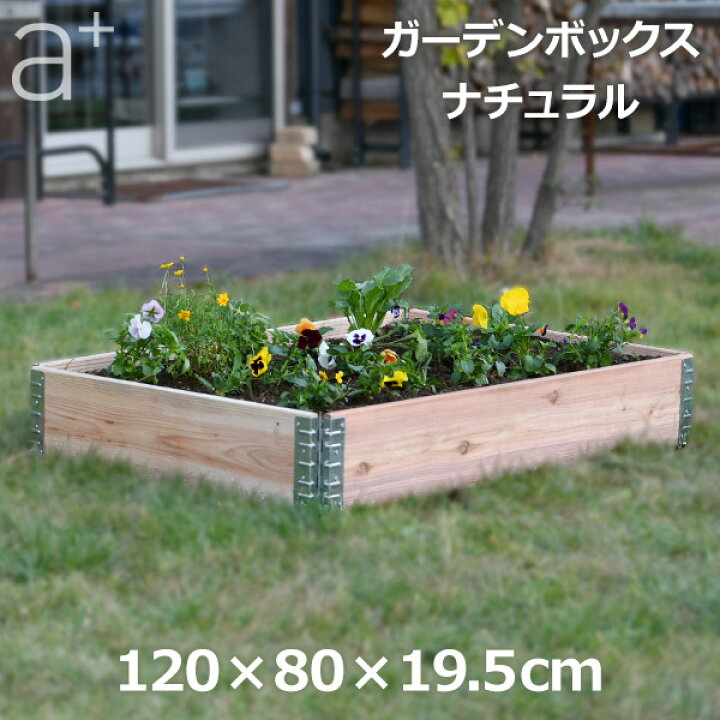 楽天市場 送料無料 ポイント2倍 レイズドベッド ガーデン ボックス 10 ナチュラル 庭 家庭菜園 枠 花壇 園芸 畑 囲い フレーム 木製 日本国産 木材 高さcm Diy おしゃれ エープラスデザイン 大型 プランター 簡単 ガーデニング 長方形 野菜 立ち上げ花壇 屋外 手作り 楽天市場 送料無料 ポイント2倍 レイズドベッド ガーデン ボックス 10 ナチュラル 庭 家庭菜園 枠 花壇 園芸 畑 囲い フレーム 木製 日本国産 木材 高さcm Diy おしゃれ エープラスデザイン 大型 プランター 簡単 ガーデニング 長方形 野菜 立ち上げ花壇 屋外 手作り