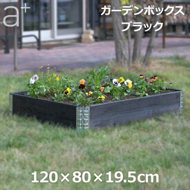 【エントリーでポイント5倍】レイズドベッド ガーデン ボックス 1200 ブラック 庭 家庭菜園 枠 花壇 園芸 畑 囲い フレーム 木製 日本国産 木材 高さ 20cm DIY おしゃれ エープラスデザイン 送料無料 大型 プランター 簡単 ガーデニング 長方形 野菜 立