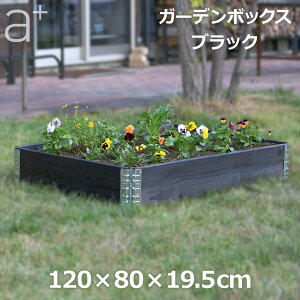 ő100%|CgobNI CYhxbh K[f {bNX 1200 ubN  ƒ؉ g Ԓd |  ͂ t[ ؐ {Y ؍  20cm DIY  G[vXfUC