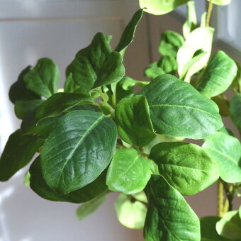 観葉植物,フェイク,エコストーン,マグノリアリーフ