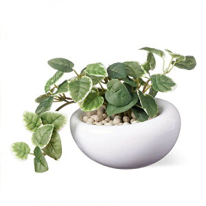 150~ItN[|y撅pztFCNO[ ϗtA lHϗtA    ~j  v~   STCY ʐ GRXg[ rO GREENPARK PRGR-1300S-SE 