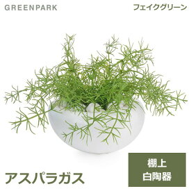 フェイクグリーン ミニ 観葉植物 造花 アスパラガス 白 陶器 Sサイズ 白玉石 エコストーン おしゃれ かわいい 可愛い 卓上 リビング GREENPARK PRGR-0800-SE オフィス 洋室 和室 寝室 グリーンパーク 人口植物 プレ 送料