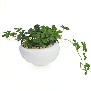 ő1000~ItN[|y撅pztFCNO[ ϗtA lHϗtA    ~j VK[oC   STCY ʐ GRXg[ CeA GREENPARK PRGR-0093-SE 