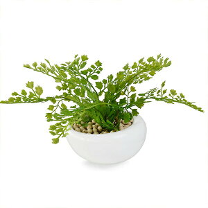 150~OFFN[|y撅pztFCNO[ ϗtA lHϗtA    ~j AWA^   STCY ʐ GRXg[ CeA GREENPARK PRGR-1005-SE 