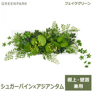 ő1000~OFFN[|&100%|CgobN tFCNO[ ϗtA lHϗtA   Ǌ| VK[oC AWA^ EH[fRM X^ht CeA  GREENPARK PRGR