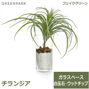 150~ItN[|y撅pztFCNO[ ϗtA lHϗtA   `WA GAvc e[uO[ KX V_[ CeA  GREENPARK PRGR-1235 