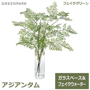 150~ItN[|y撅pztFCNO[ ϗtA lHϗtA  AWA^ tFCNEH[^[ H55cm e[uO[ CeA  A PRGR-1105 GREENPARK 