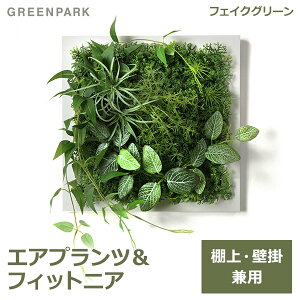 150~ItN[|y撅pztFCNO[ ϗtA lHϗtA   Ǌ| GAvc tBbgjA zCgt[ O[}bg PRGR-1315F O[p[N GREENPARK